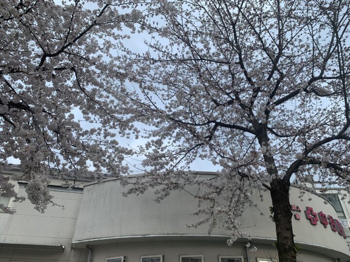 お知らせ|中谷医院の画像